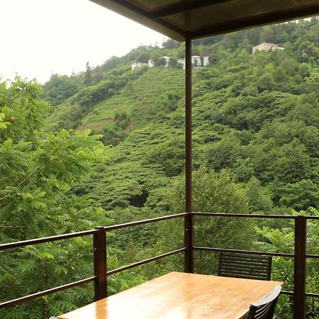 Modular House Green Zyland Y Batumi Exteriör bild